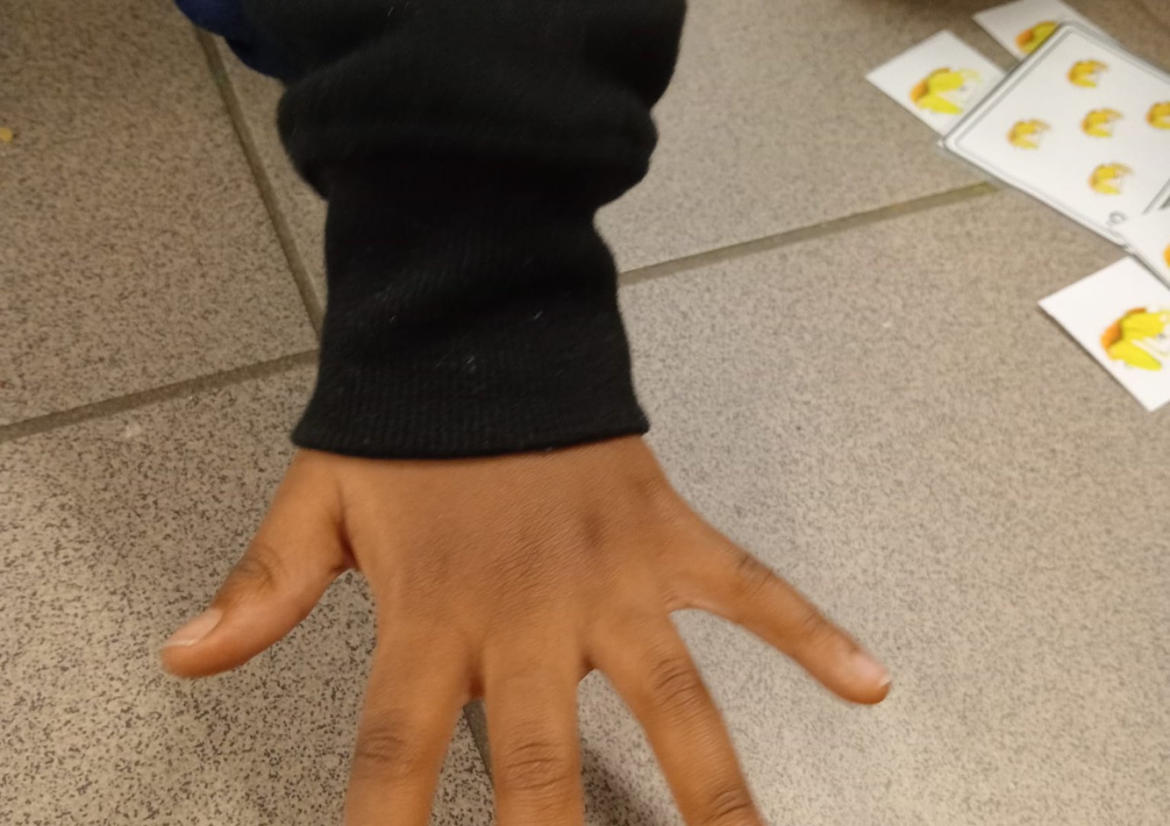 whatsapp image 2026-01-16 at 22.47.24 8